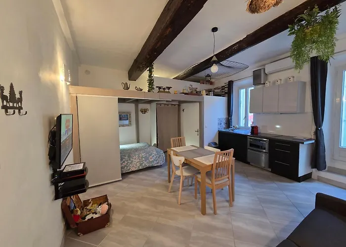 Meynadier 66 - Appartement Tres Calme Avec Cour Privative, Plage, Gare, Palais A 300M